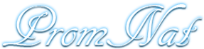 Логотип компании Promnat